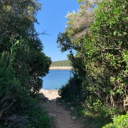 Апартаменты Kuca Kavrana *